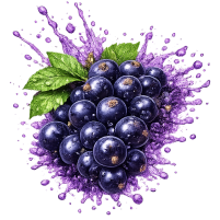 Black Currant