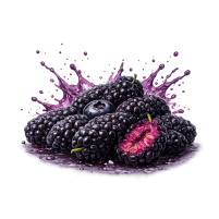 Black Mulberry