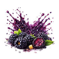 Blackberry