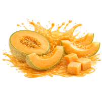 Rock Melon