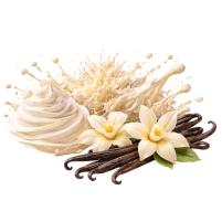 Vanilla Cream